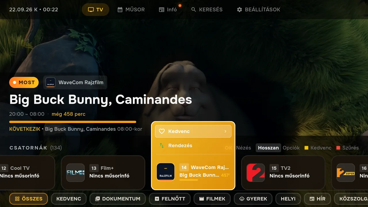 A TV fülön állj a csatornára, és tartsd nyomva az OK gombot. A megjelenő menüben a „Kedvenc” szívet tesz a csatornára, ugyanitt tudod levenni is.