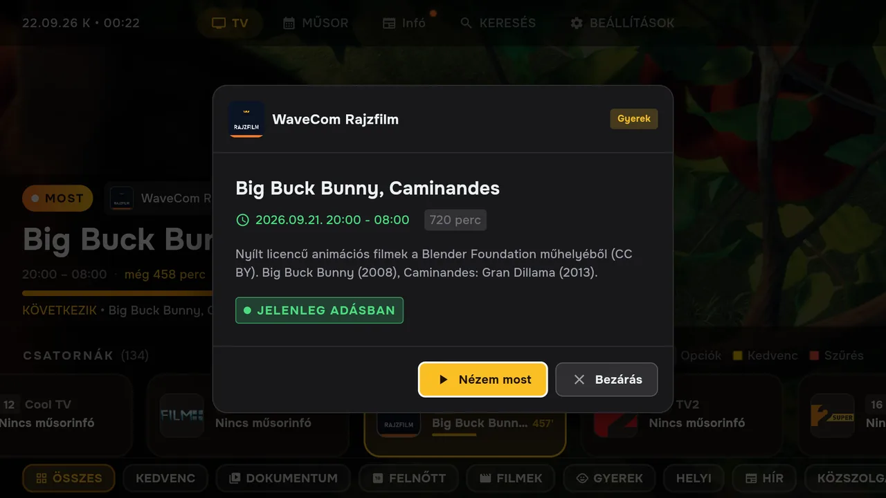 OK egy műsoron: részletek. Futó műsornál „Nézem most”, korábbinál „Visszanézés”, későbbinél „Emlékeztető”: ilyenkor az app a kezdés előtt szól.